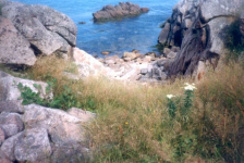 619: Red Island. Looking down Bill Mulrooney's slipway for launching the dory, at Corcoran's Cove. (1994) [courtesy of Pius Mulrooney]
